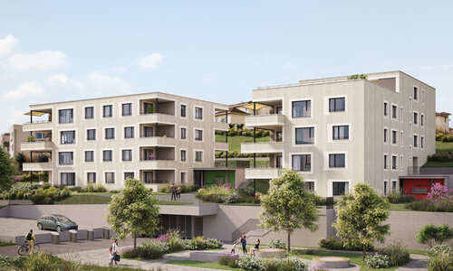 Wohnungen Waldeggstrasse